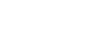 Mobile Development Service