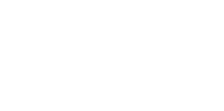 Web Development Service